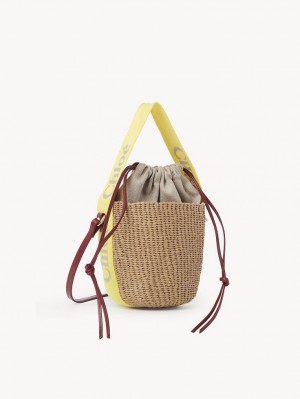 Chloe Small Woody Baskets Gula Beige | CHE-SR13644