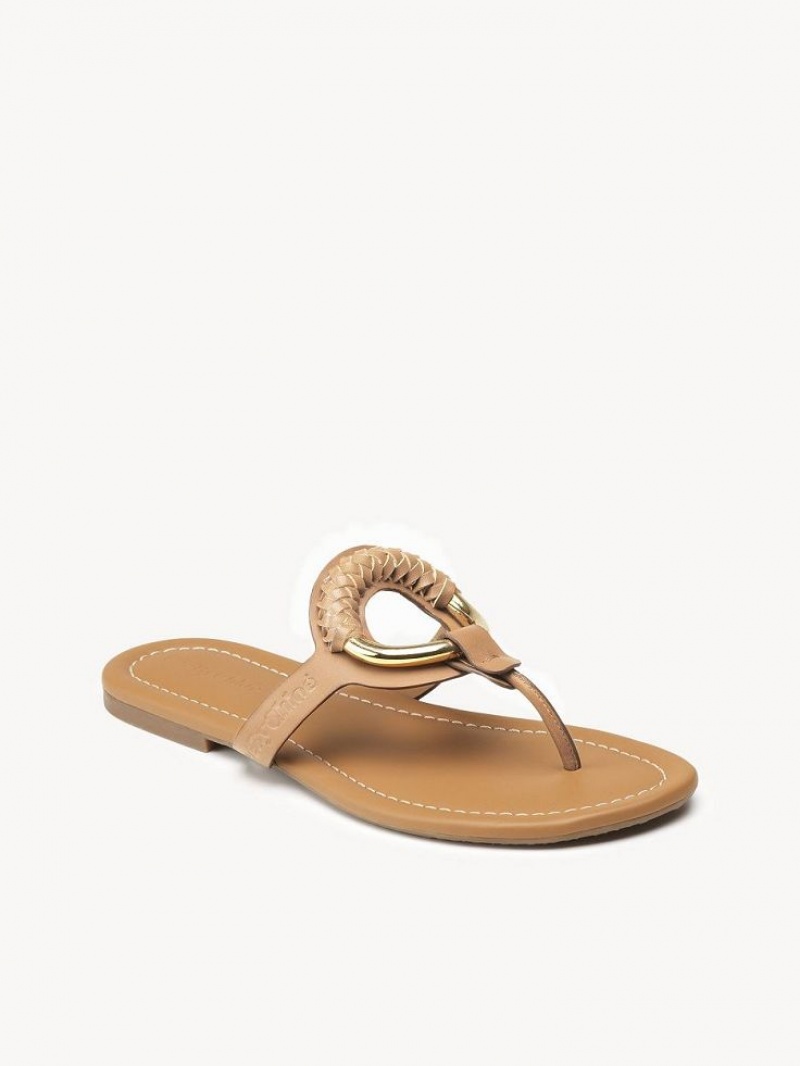 Chloe Hana Flip-flop Platta Skor Bruna | CHE-SR14818