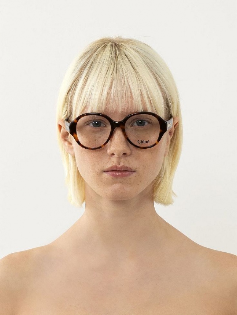 Chloe Mirtha Glasögon Havana | CHE-SR14583