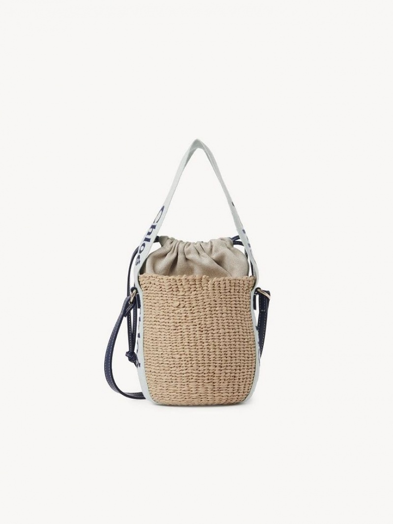 Chloe Small Woody Basket Crossbody Väska Gröna Blå | CHE-SR13617