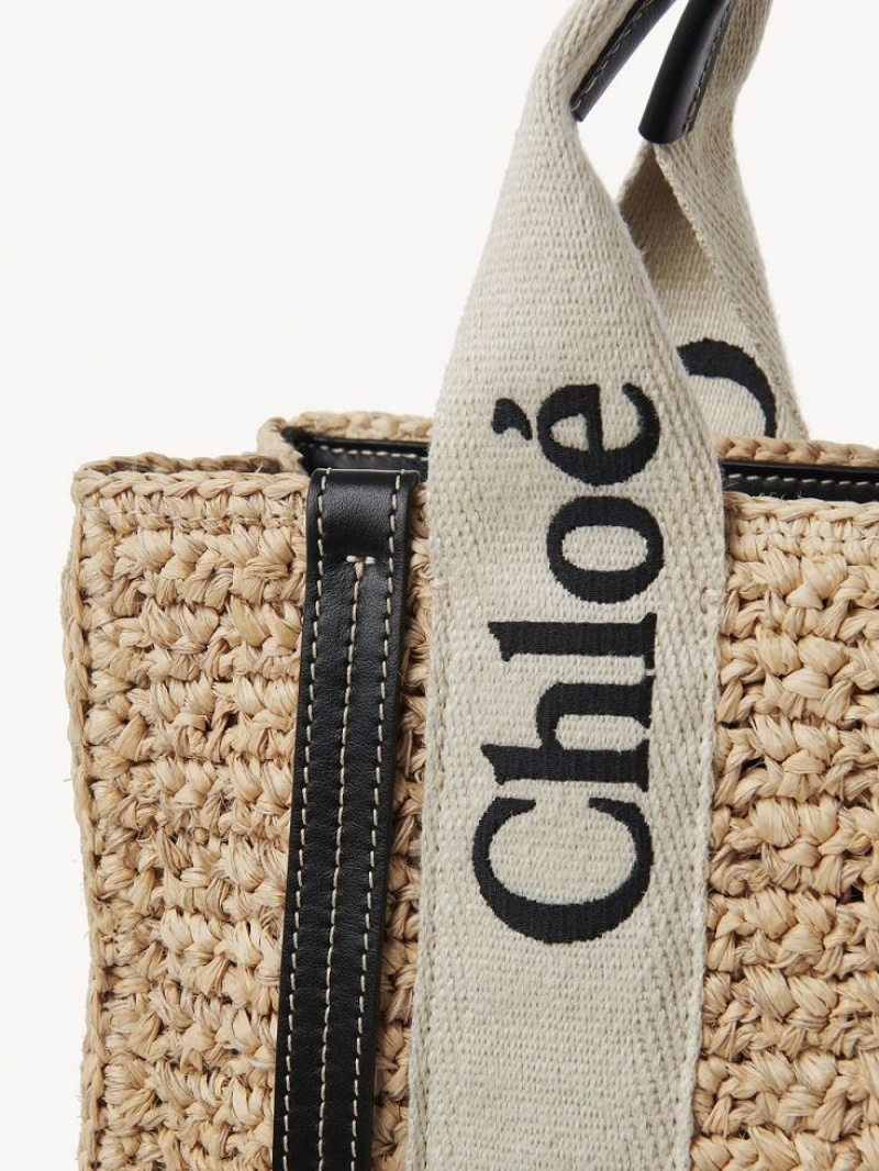 Chloe Small Woody Crossbody Väska Bruna | CHE-SR13625
