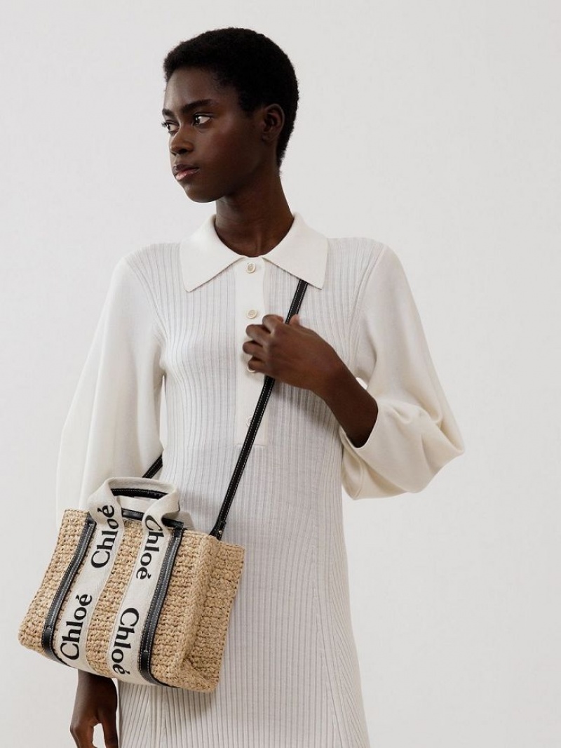 Chloe Small Woody Crossbody Väska Bruna | CHE-SR13625